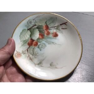Hand Painted Gold Rim‎ Plate D & Co France Limoges Fruit Berries Signed